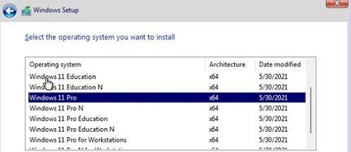 选择win11版本